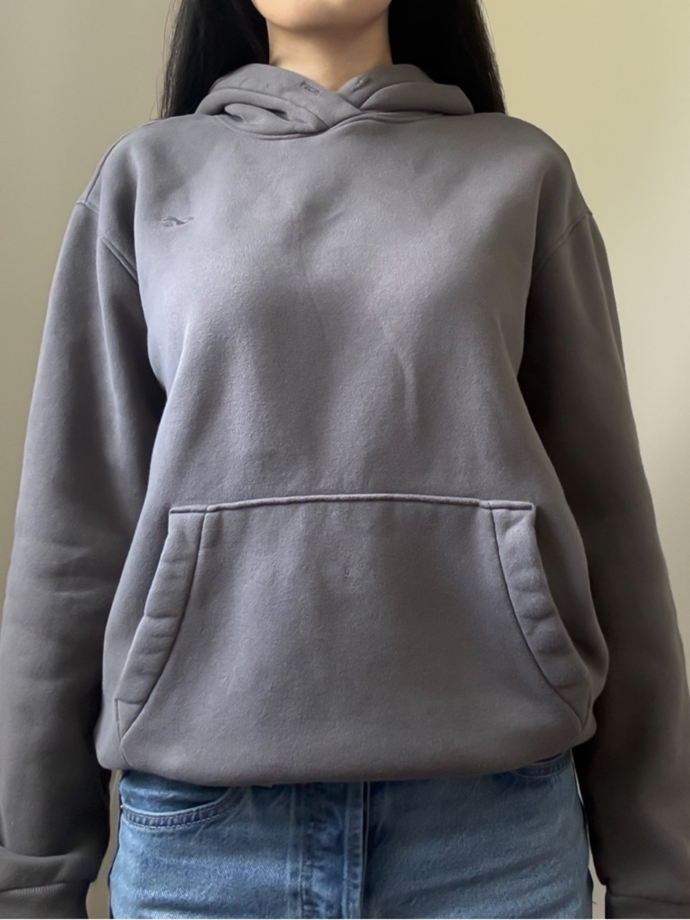 HOLLISTER Hoodie Dark Gray Size XS GUC